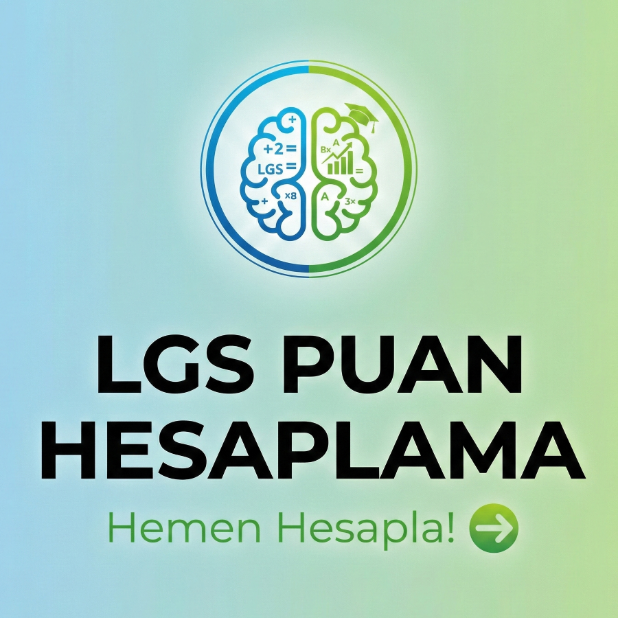 LGS Puan Hesaplama